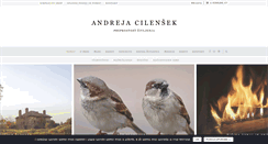 Desktop Screenshot of andrejacilensek.com